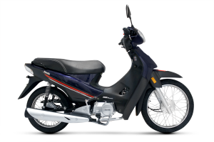 PRODUCTO ZB 110 Z1 AZUL