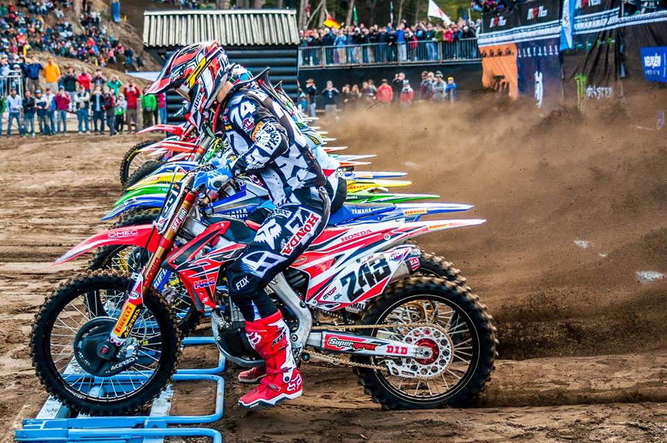 26907332 1675916245800261 5107656539960568624 n