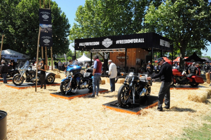 harley davidsonr en autoclasica 2019 2 scaled 1