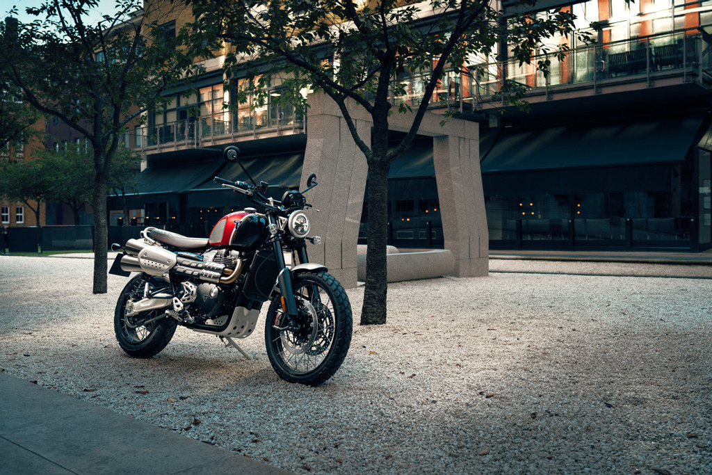 Triumph Gold Line Edition: estilo y exclusividad