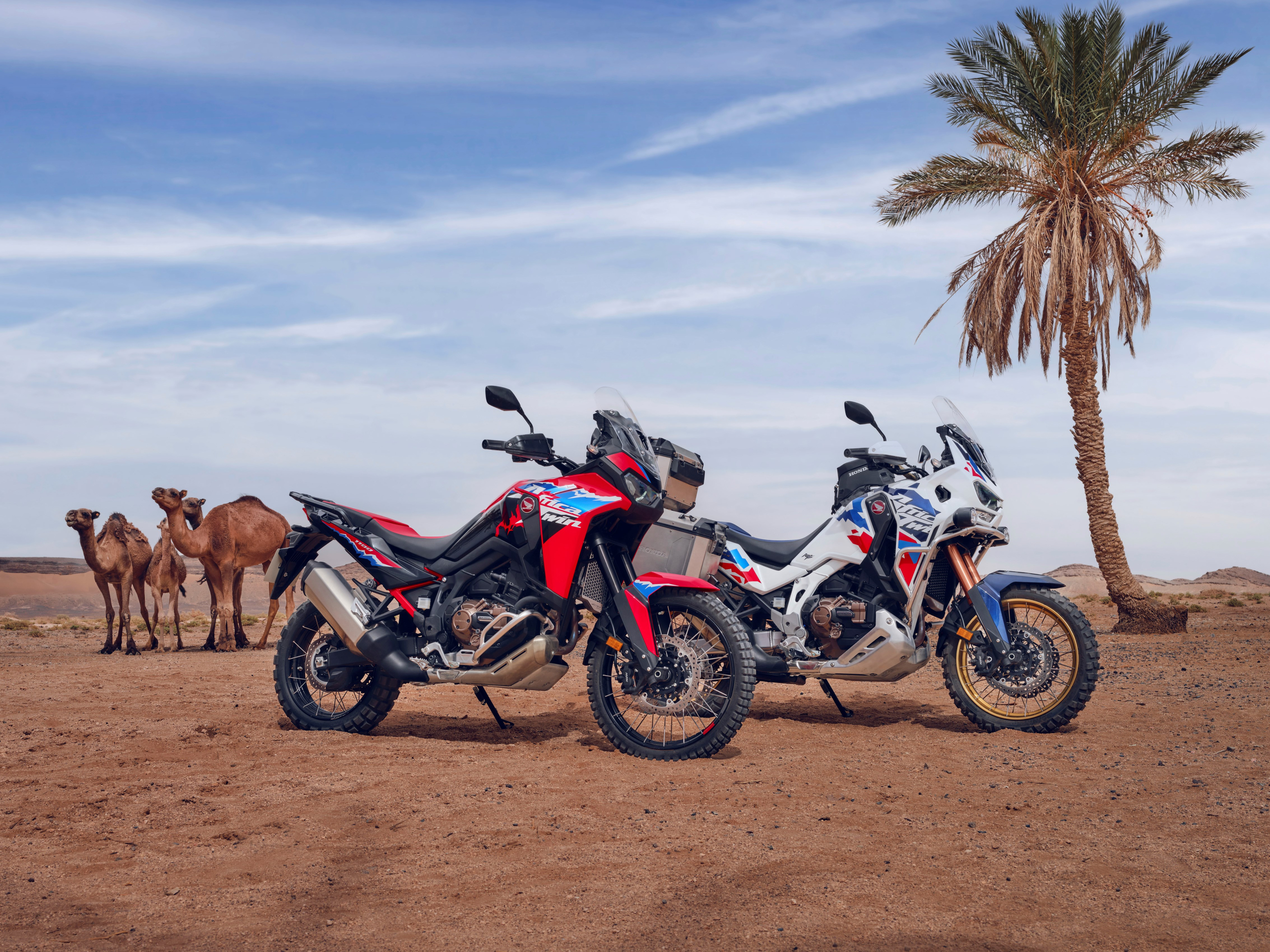 Honda Africa Twin 2024: dos nuevas versiones, el mejor rendimiento
