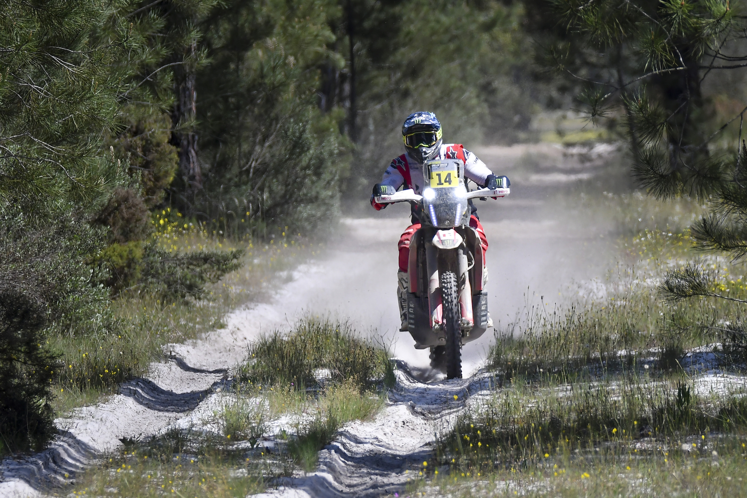 W2RC de Portugal, Dia 2: Bühler triunfa, Quintanilla relegado