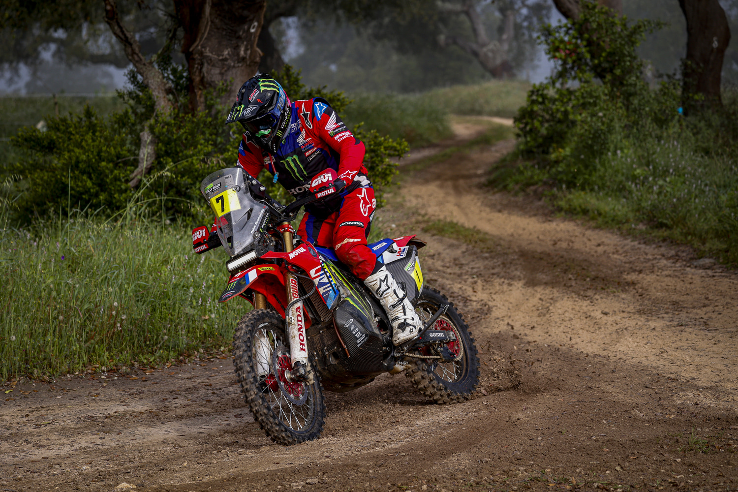 W2RC de Portugal, Dia 2: Bühler triunfa, Quintanilla relegado