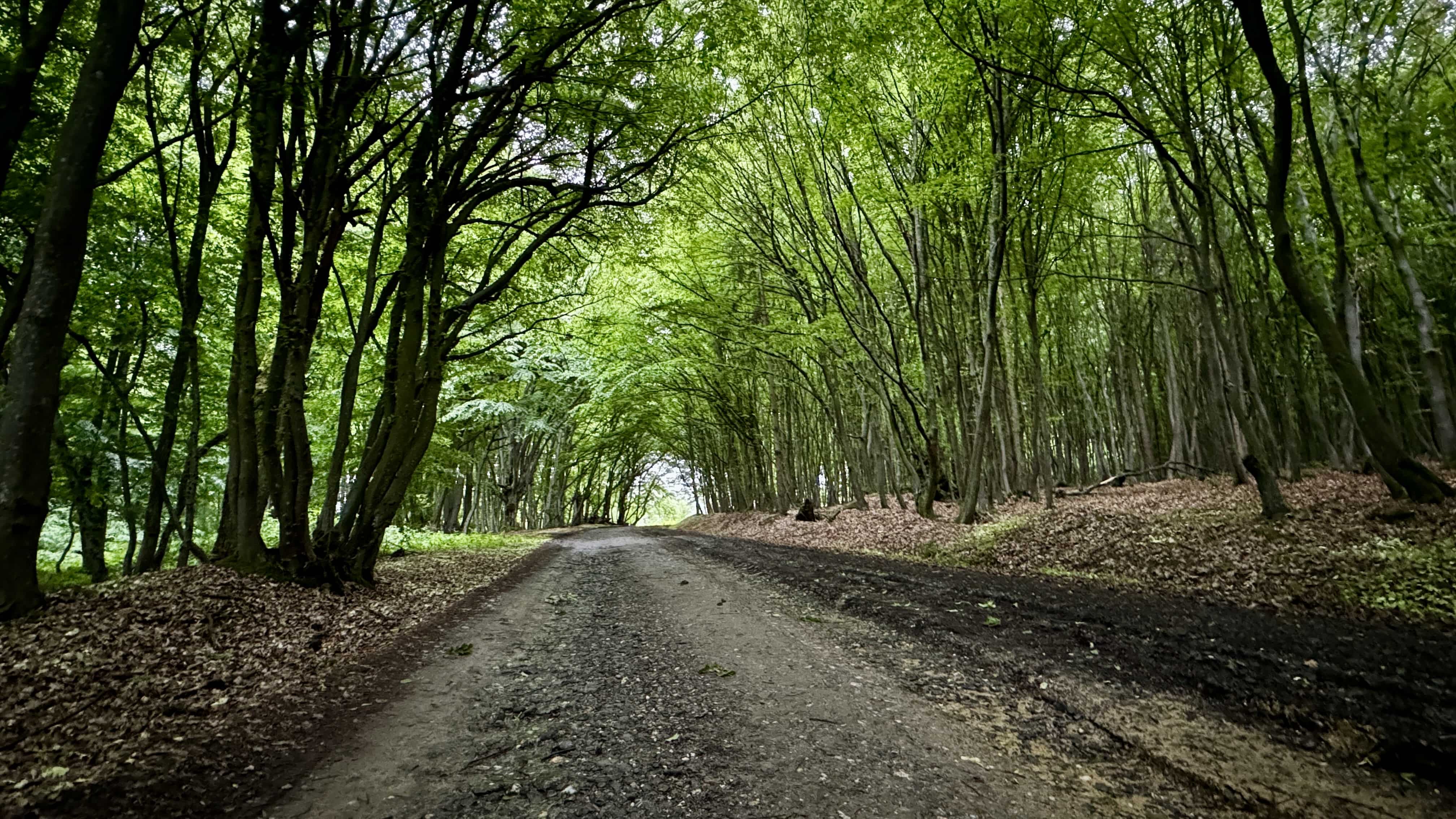 ¡Confirmada! La R 12 G/S es la elegida de BMW para el GS Trophy 2026