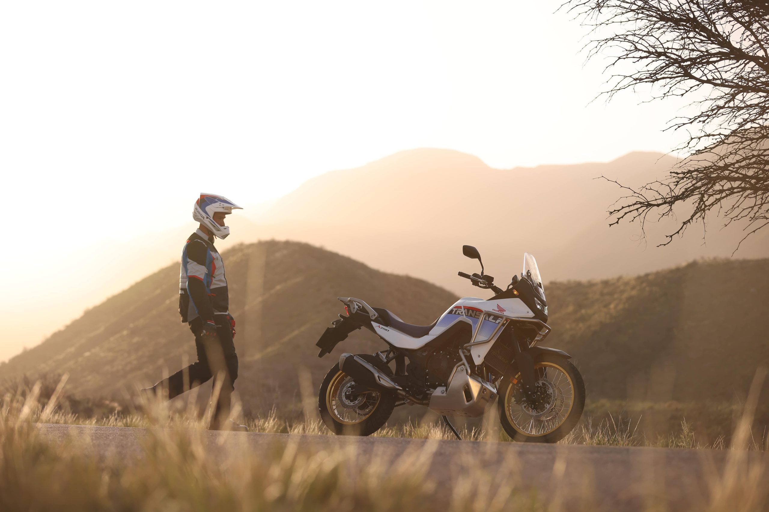 La Honda XL750 Transalp ya aterrizó en Argentina